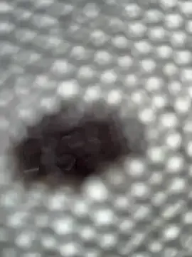 eveangelll Image 14