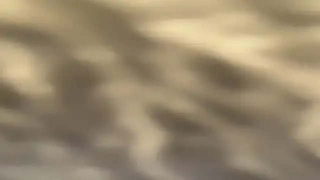 frnk30151 Image 12