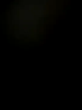 polla20 Image 14
