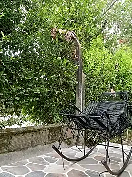 sebasxx97 Image 3