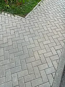 Syka0001 Image 18