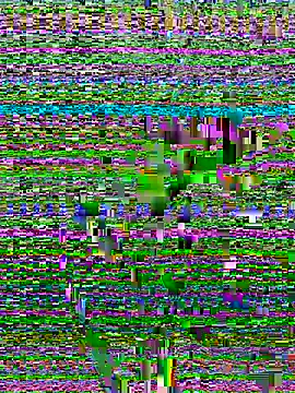 Tran_ny Image 10