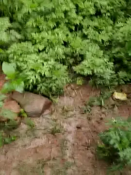 YOURBHABI143 Image 14